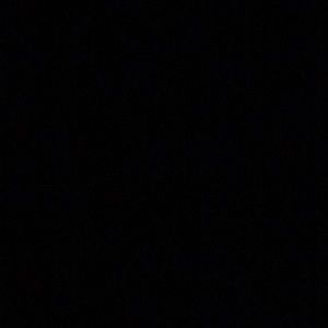 Meet your Posher, Bryce